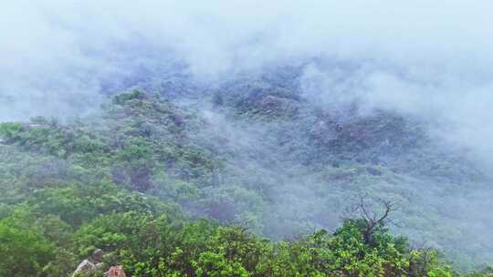 夏季大山阴天下雨云雾风光