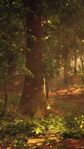 充满了许多被萤火虫覆盖的树木的森林