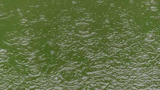 雨天空镜下雨水面雨滴