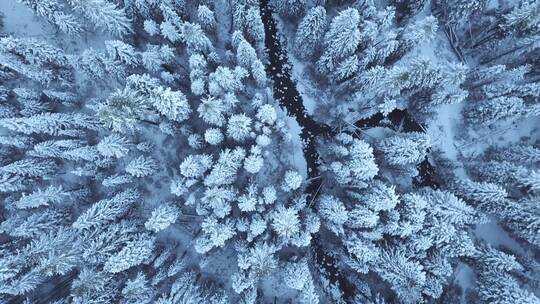 航拍俯瞰冰雪覆盖森林雪景 小河美景特写