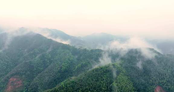 广西山区竹林竹海竹山云海翻滚航拍