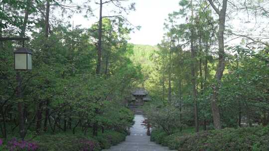 万松书院