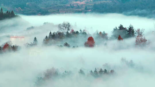 航拍秋天清晨山村的云雾缭绕