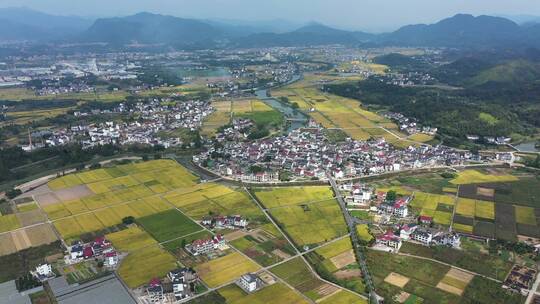 美丽乡村建德稻香小镇金色稻田田园风光