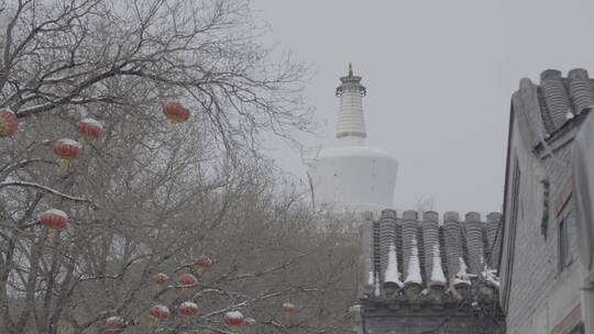 北京冬天 胡同空镜 北京生活