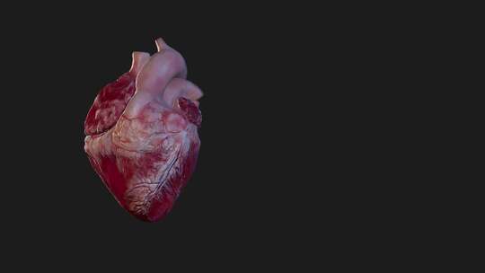 心脏跳动医学三维动画视频视频素材模板下载