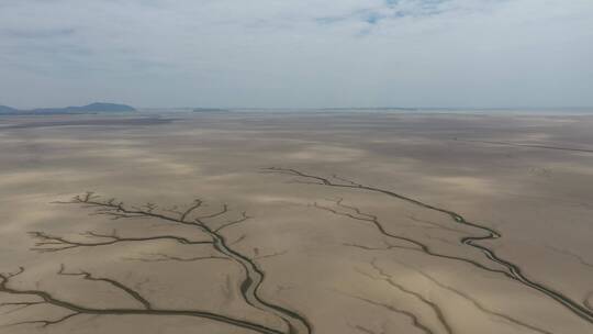 鄱阳湖枯水季沙洲上显现生命之树的航拍视频
