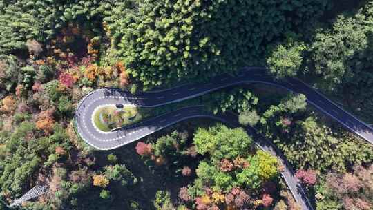 四明山 盘山公路 秋色 秋天 余姚