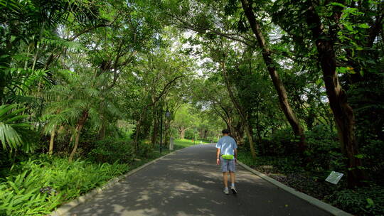 公园跑道林荫大道林间小路