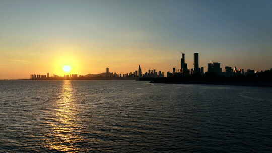 深圳湾候鸟航拍视频