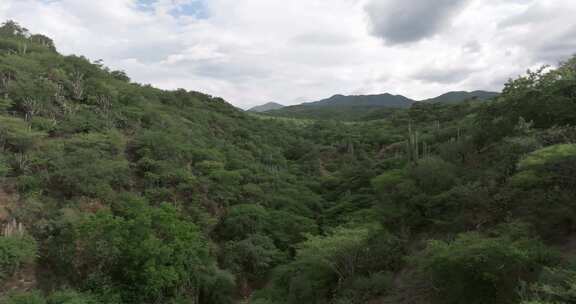 墨西哥特华坎生物圈保护区，国家保护区，生