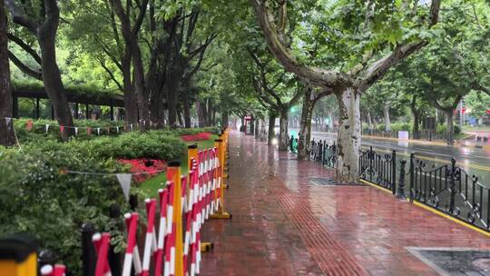 上海封城中的雨天绿化街道