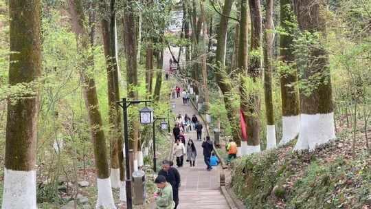 山林登山爬山的人