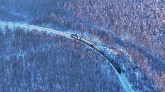 穿越雪森林的绿皮火车250104-3