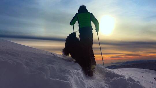 带着狗狗爬雪山