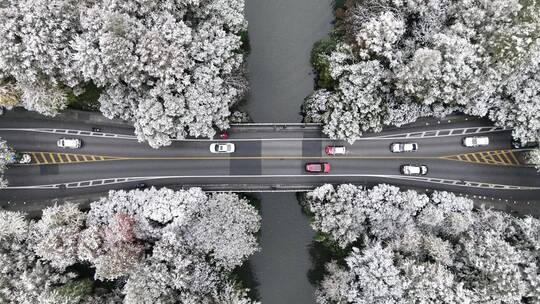 航拍西湖大雪