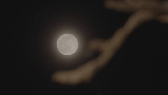 冬天月亮 雪景月亮 月亮意境