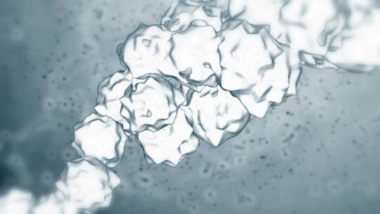 生物科技三维动画展示细胞变化44