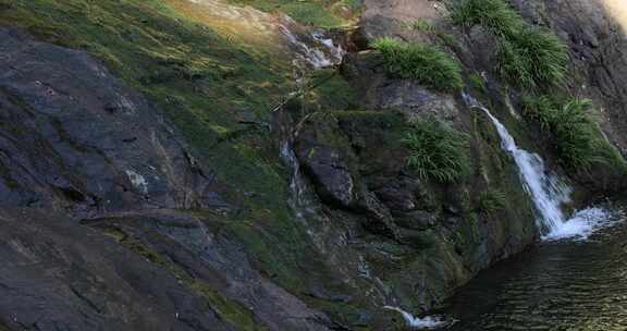 阳光山涧溪流泉水