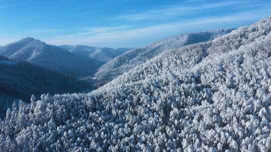 森林雪山 冰天雪地 唯美雪山视频素材模板下载