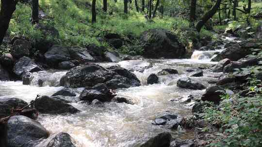 森林中 山泉小溪水