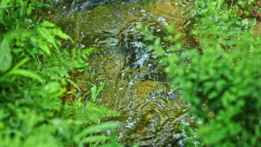 清澈干净小溪流水山泉水水资源