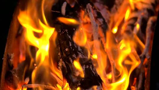 木炭和木火燃烧视频素材模板下载