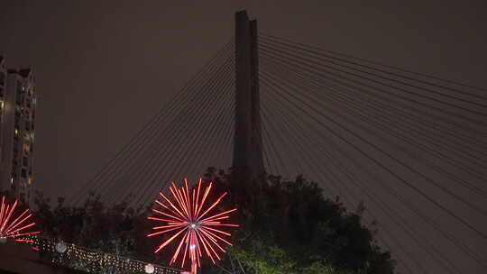 广州番禺区东沙桥夜景视频素材模板下载