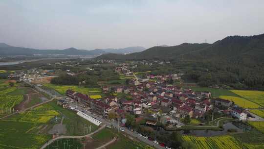 油菜花开，春日的宁国市西村风光航拍素材