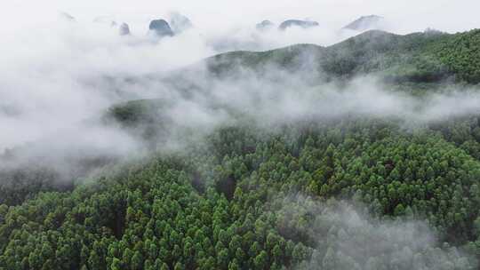 航拍绿色山林云海