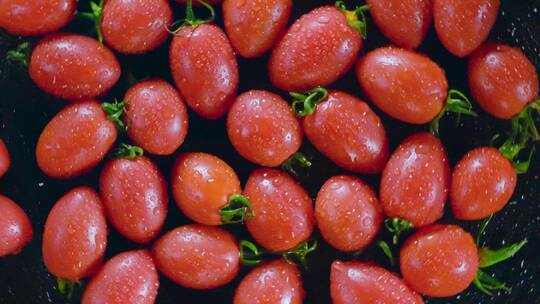 美食小番茄视频红色橙色圣女果水果蔬菜