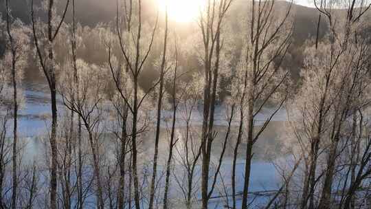 雪原冰河晶莹树挂冻雾阳光