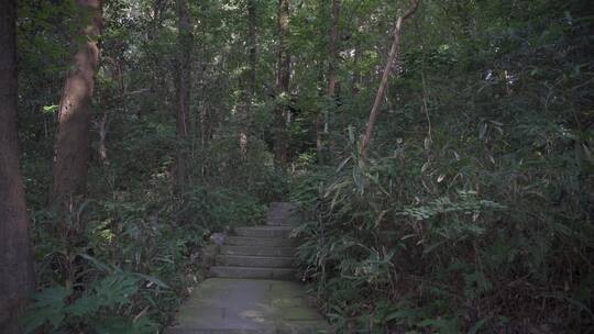 杭州凤凰山万松书院风景