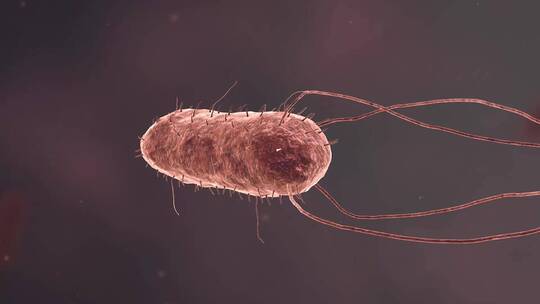 医疗病菌病毒细菌分子病原体生物三维动画