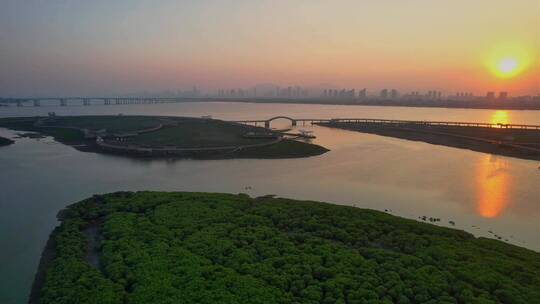 航拍厦门下潭尾湿地公园景观