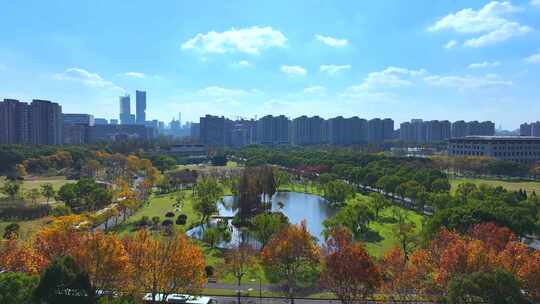 杨浦区新江湾城公园  新江湾湿地公园