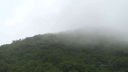 下雨天山上的雾气延时视频