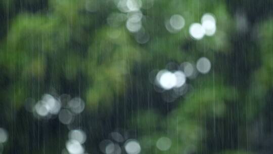 春天下雨唯美清新空镜雨景4k视频素材视频素材模板下载