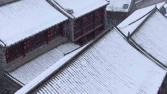 洛阳铜驼暮雨雪景合集