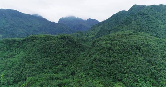 航拍峨眉山后山风景夏天青山美丽