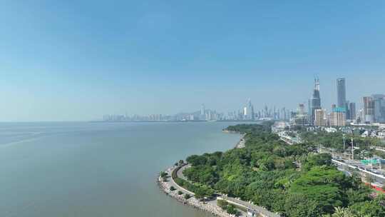 深圳海岸线航拍深圳湾公园红树林滨海大道