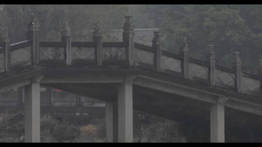广东雷州半岛 桥上石狗特写2视频素材模板下载