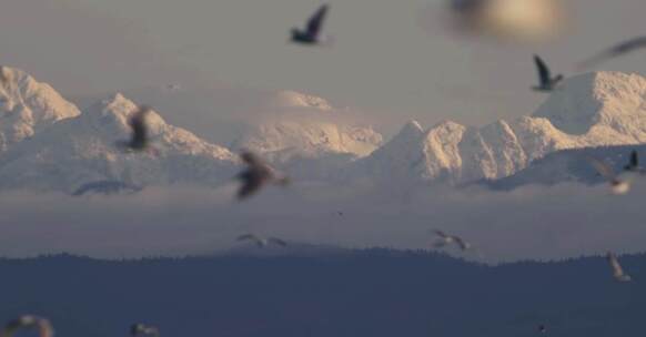 【视频】未来的路励志年会开场片头