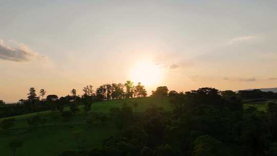 夕阳下的乡村生活风景。乡村景观。森林树木风景。