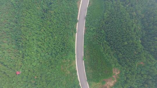 高山绿色道路