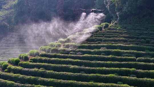 （合集）无人植保机茶园茶山打药