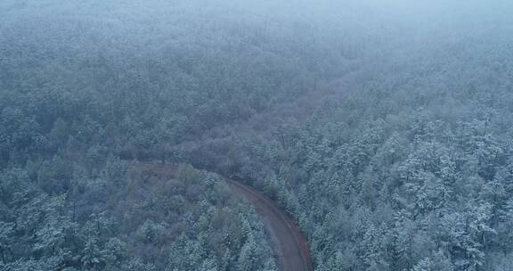 航拍大兴安岭极端天气降雪山林银装素裹