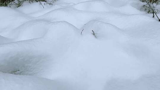 冬天的雪地晴天白色的背景