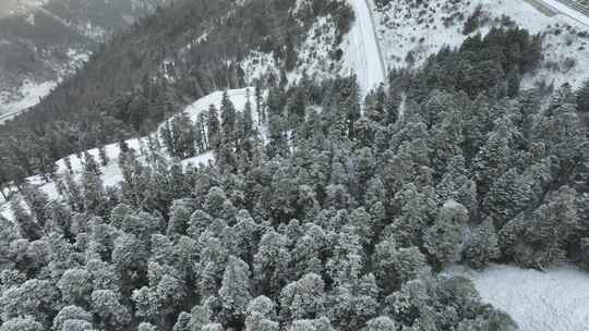 下雪天在山间行驶的汽车