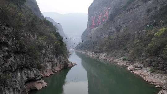 贵州美酒河